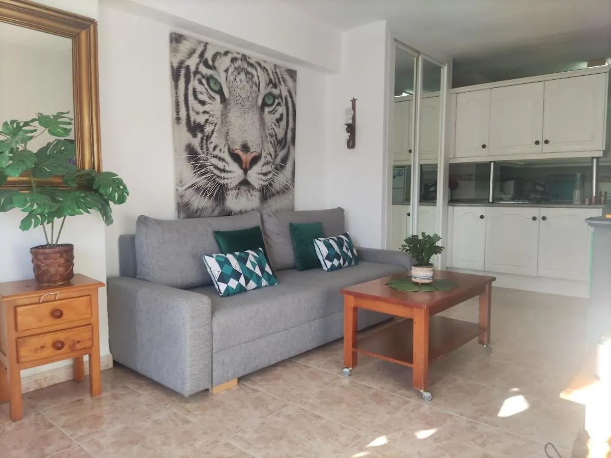 Piscis Apartamentos contacts